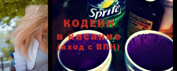 не бодяженный Заводоуковск