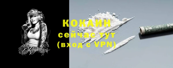 не бодяженный Заводоуковск