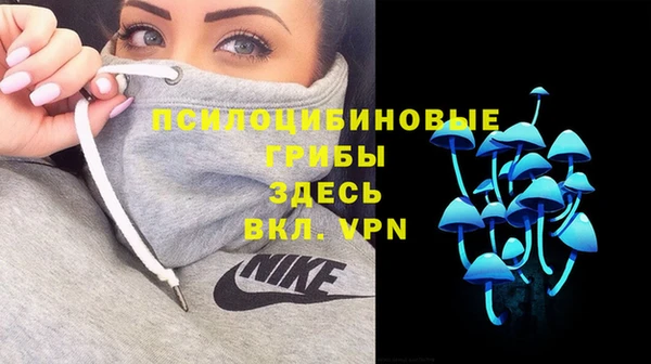 не бодяженный Заводоуковск